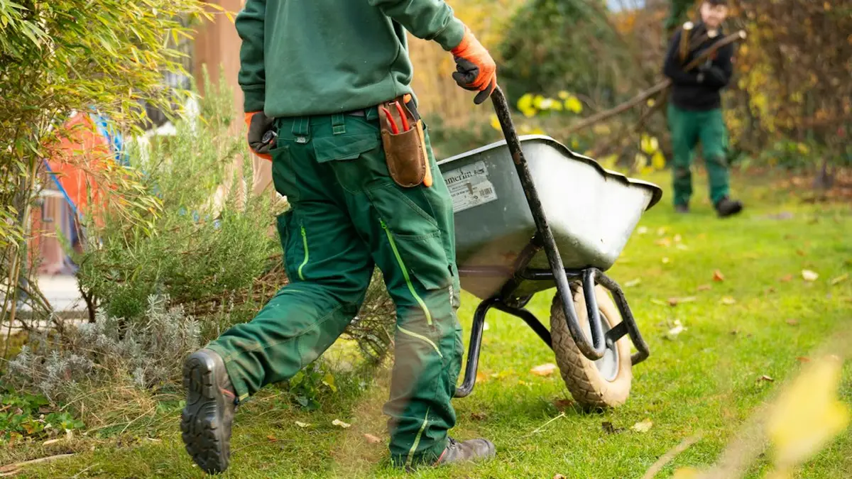 Entretien des jardin